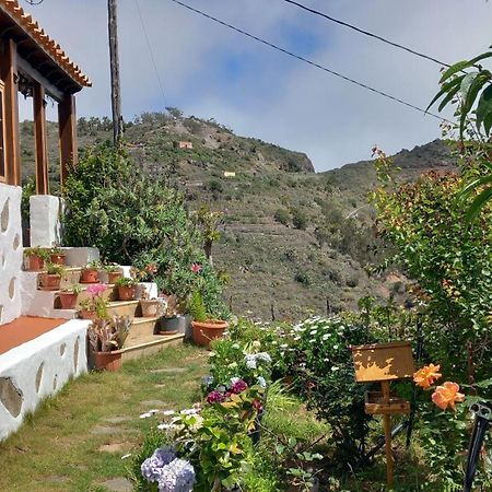 Casa Maria Villa Agulo Exterior foto